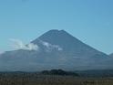 New_Zealand (839)